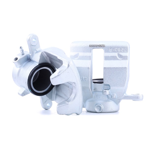 RIDEX 78B1734 höchste Qualität