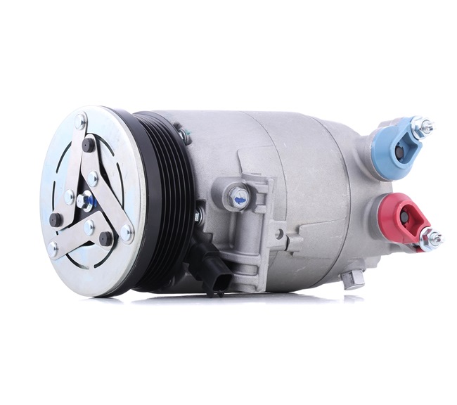 RIDEX 447K0658 aircopomp LR041119