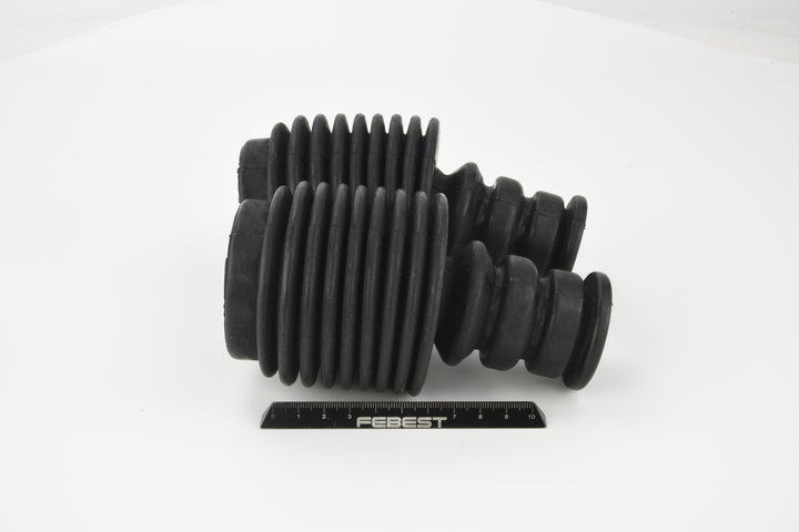 FEBEST RNSHB-MEGIIIF-KIT Σετ προστασίας από σκόνη, αμορτισέρ Renault Scénic 3 1.6 16V Bifuel (K4M 866) 107 PS Βενζίνη/αέριο (LPG) 2012