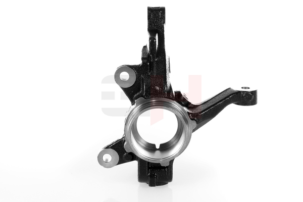 GH GH-292570V fuseestuk Ford Fiesta Mk6