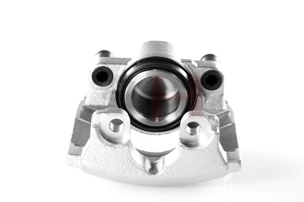 GH 1432362 Jarrusatula GH-432567V