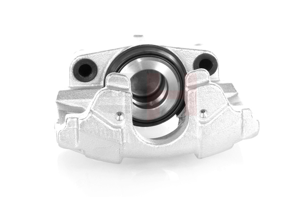 GH 542024 Jarrusatula GH-433621H