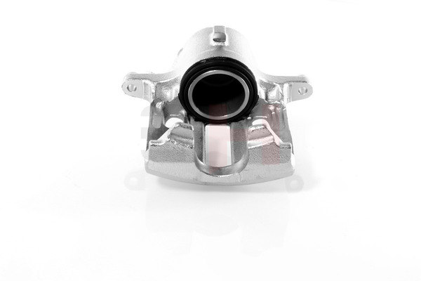 GH 4401 C2 Jarrusatula GH-433745V