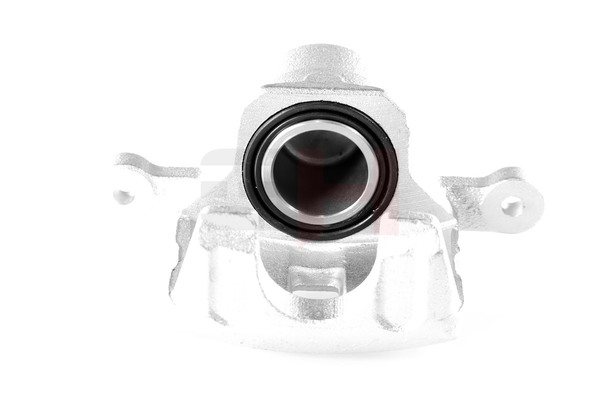 GH 58360H1010 Jarrusatula GH-453422H