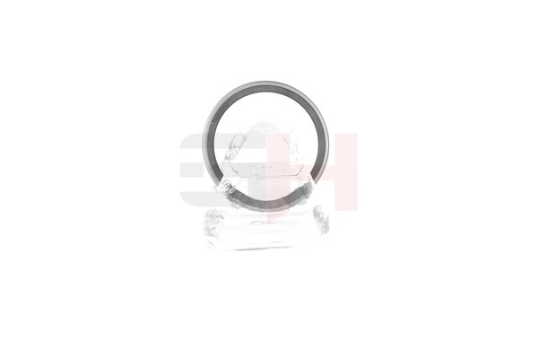 GH 82 00 367 094 S1 Sensorring, ABS GH-493910