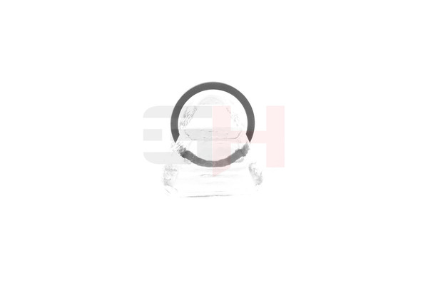 GH GH-493985 Anel ABS RENAULT Modus / Grand Modus (F, JP) 1.6 88 cv Gasolina 2016