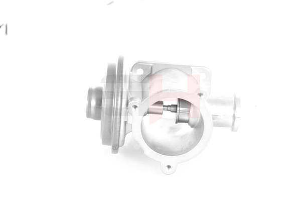 GH-731560 GH 7804380 AGR-Ventil