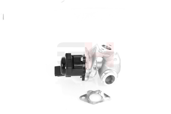 GH-732549 GH 2S6Q9D475BD AGR-Ventil