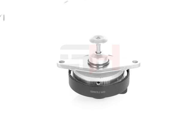 GH GH-733665 EGR klep Opel Astra G CC 2.0 DTI 16V (F08, F48) 101 Pk Diesel 2002