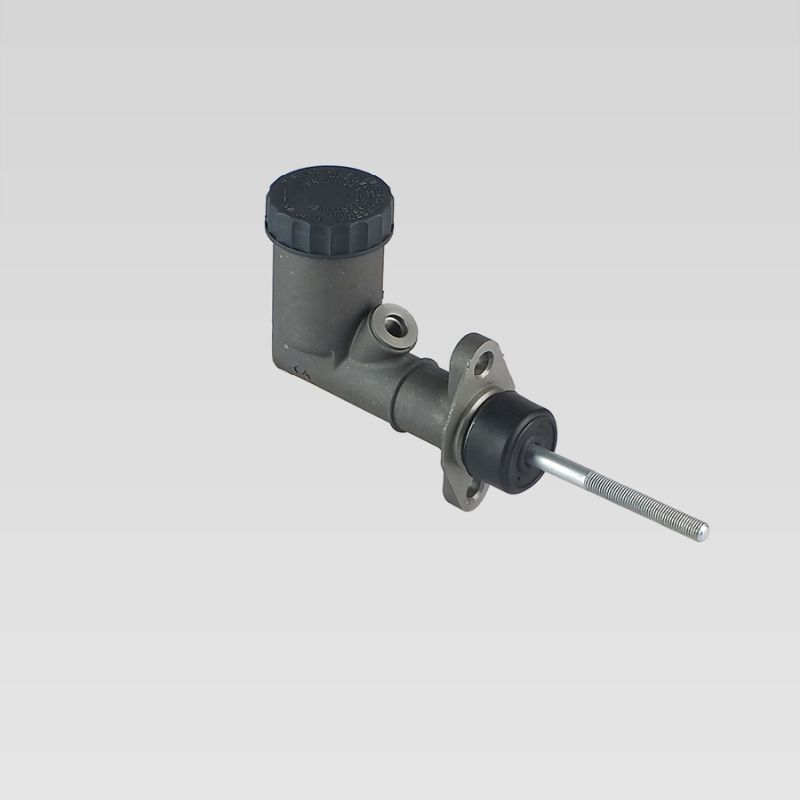 Pompa della frizione LM38606 DELPHI Pompetta pedale frizione costo