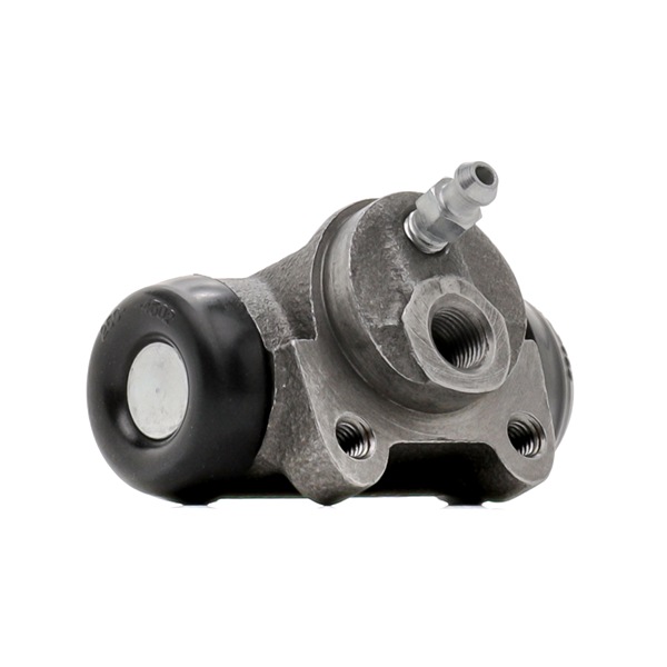 DELPHI LW30412 Hjulsylinder PEUGEOT 306 2000