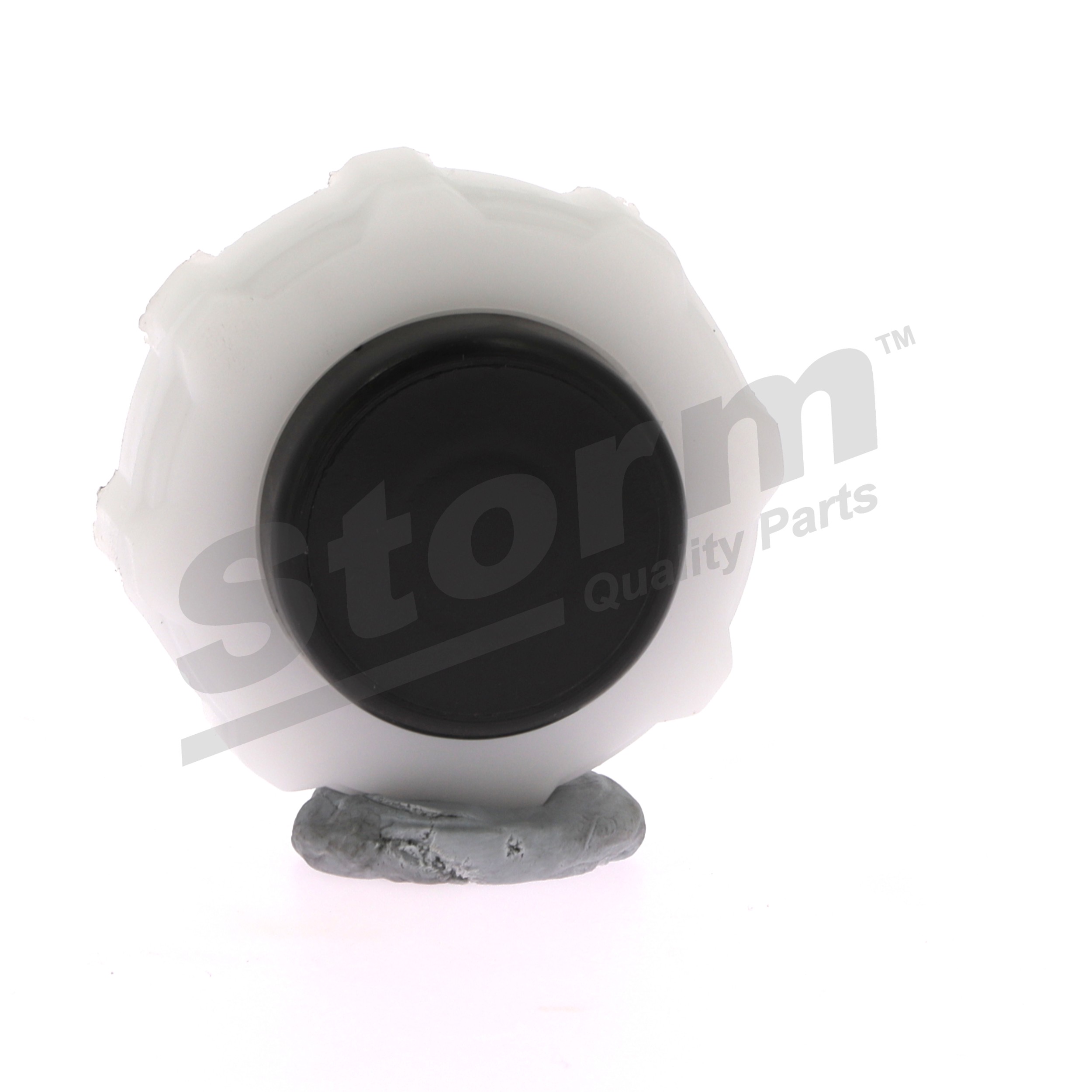 STORM QUALITY PARTS TB210 Dangtelis, radiatorius Renault Megane Scenic 2.0 i 114 AG benzinas 1998