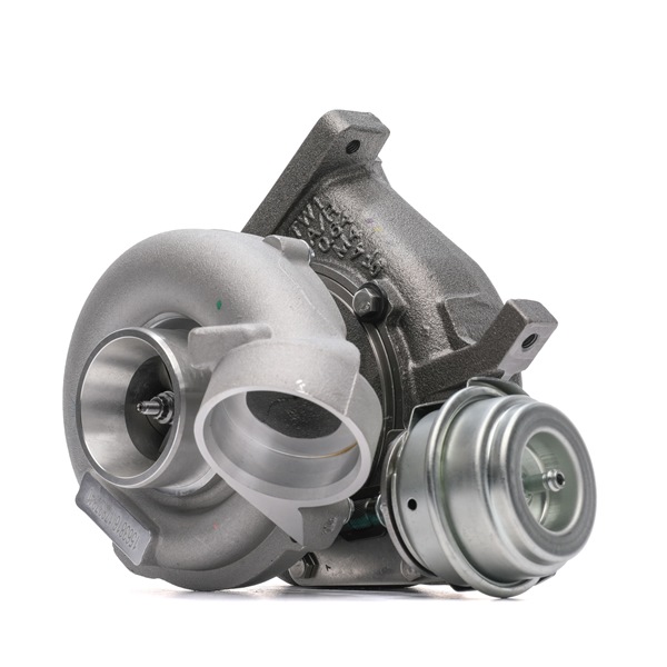 RIDEX 2234C10854 turbocharger A 612 096 02 99