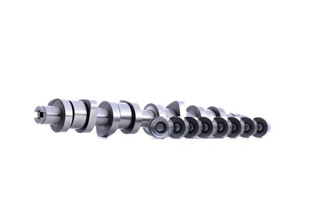 RIDEX 567C0006 Árvore de cames Audi A4 B6 1.9 TDI 130 cv Diesel 2000