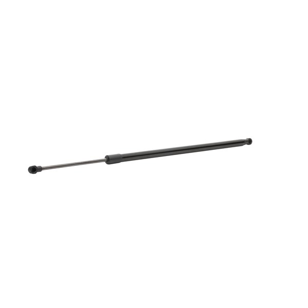 RIDEX 219G1077 gasveer achterklep 689500W790