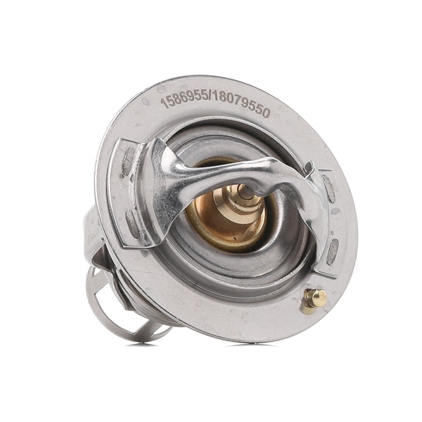 RIDEX 316T0445 qualité et prix abordables