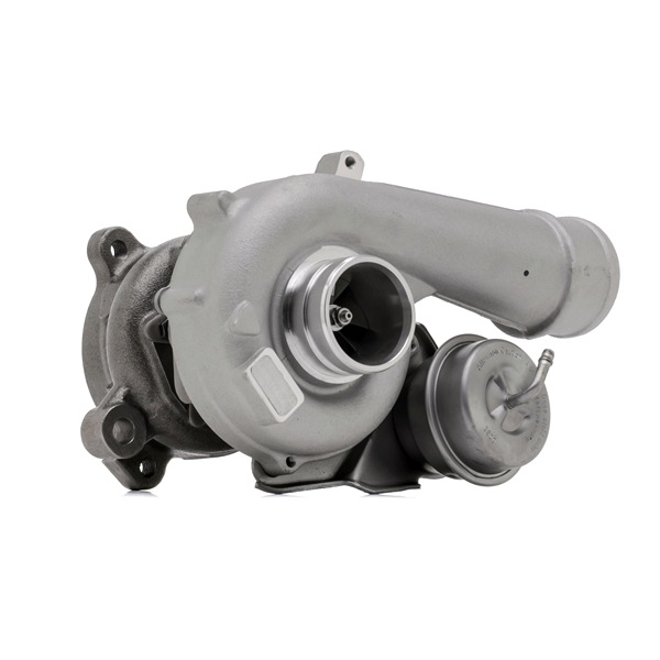 RIDEX REMAN 2234C10151R 1A-Qualität und faire Preise