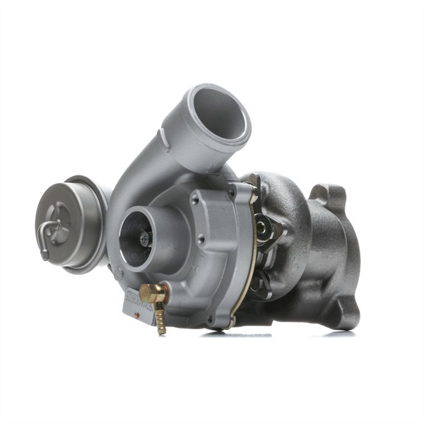 RIDEX 2234C11409 turbo Passat 3B6 1.8 T 20V 150 hk Bensin 2005