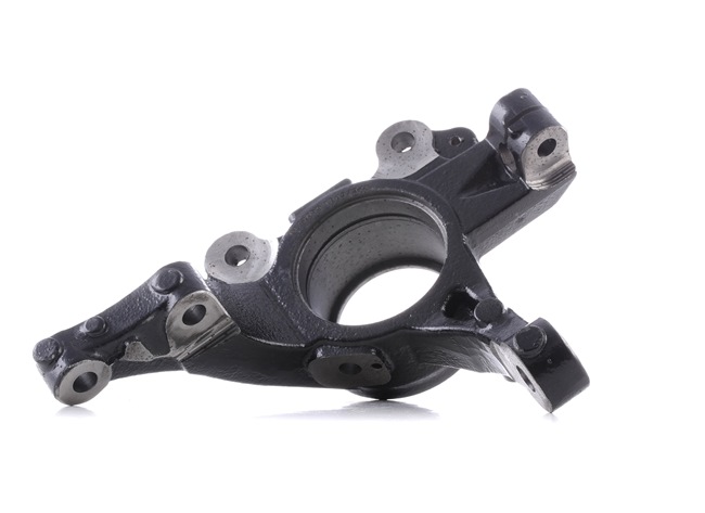 RIDEX 1159S0120 fuseestuk 3646A2