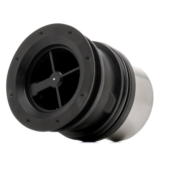 RIDEX 316T0507 Thermostat Porsche Panamera 970 3.6 310 PS Benzin 2015