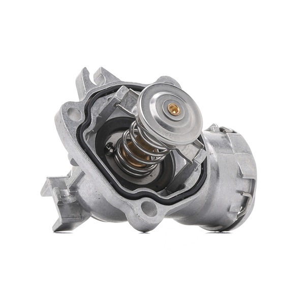 RIDEX 316T0530 qualité et prix abordables