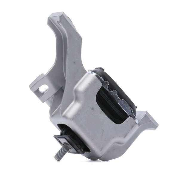 RIDEX 247E0911 replacement Mini R56 engine mount rear and front price