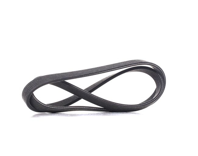 METZGER 6DPK1225 multiriem 46514138