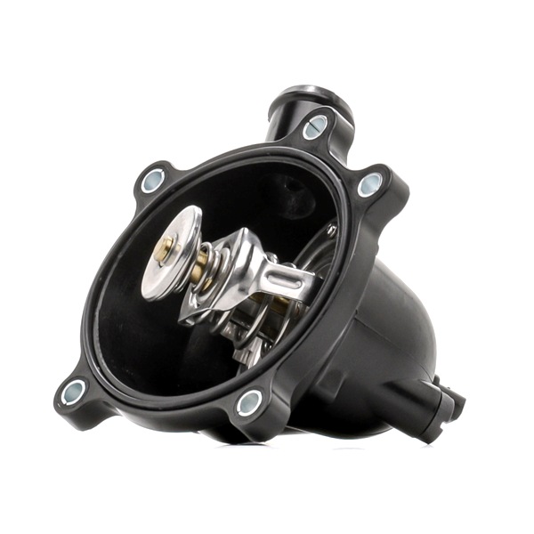 RIDEX 316T0536 qualité et prix abordables