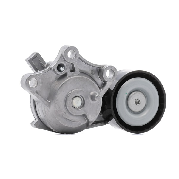 RIDEX 310T0653 Polea tensora VAUXHALL CROSSLAND X 2021 originales precio