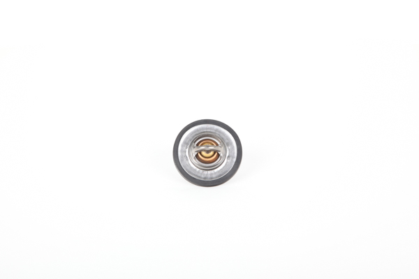 Continental 28.0200-4003.2 replacement JEEP Wagoneer (WS) thermostat price