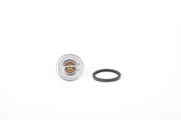 Continental 28.0200-4043.2 Termostato Seat Exeo st originale prezzo