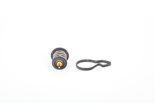 Continental 28.0200-4058.2 replacement Seat Mii kf1 thermostat price