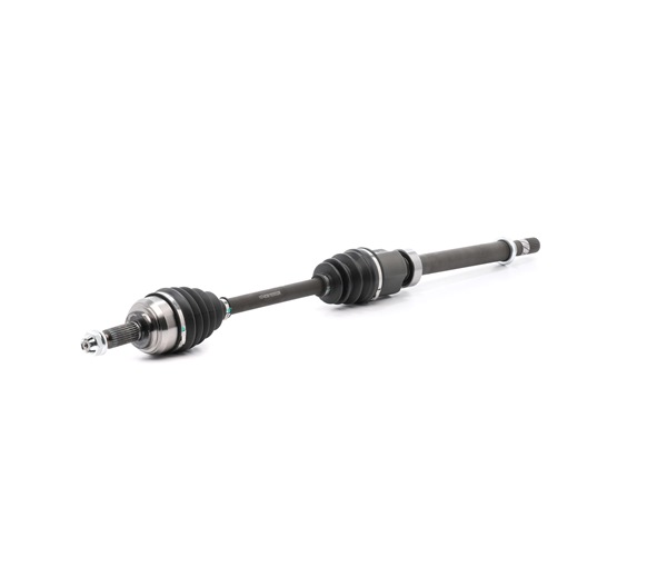 RIDEX 13D1128 Qualidade suprema e preços competitivos