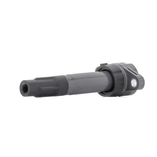 RIDEX 3340068K20 Bobine 689C0461