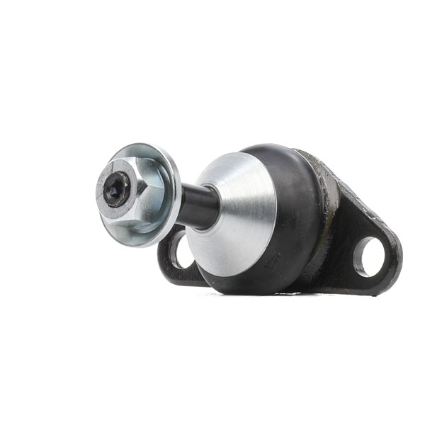 RIDEX PLUS 2462S0004P fuseekogel 9173613