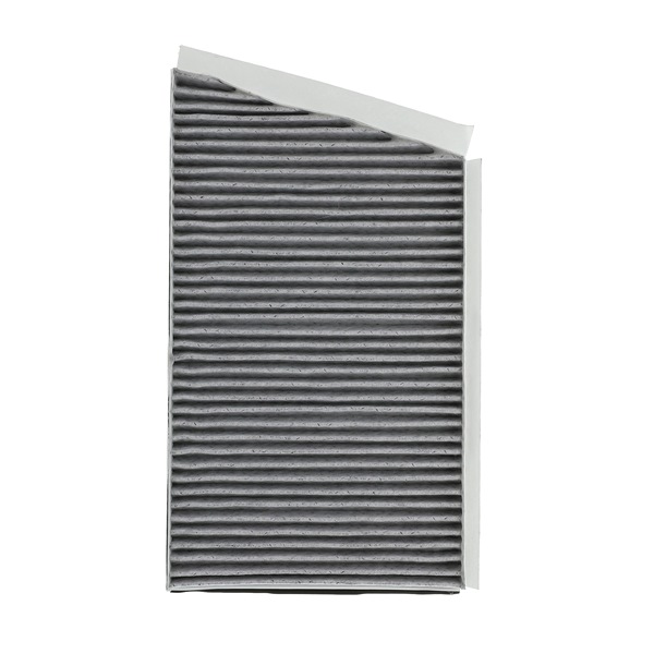 RIDEX PLUS 424I0529P qualité haut de gamme et prix abordables