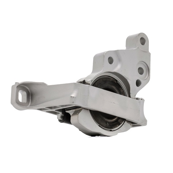 RIDEX F1F1-6F012-AC Piekare, Dzinējs 247E1008