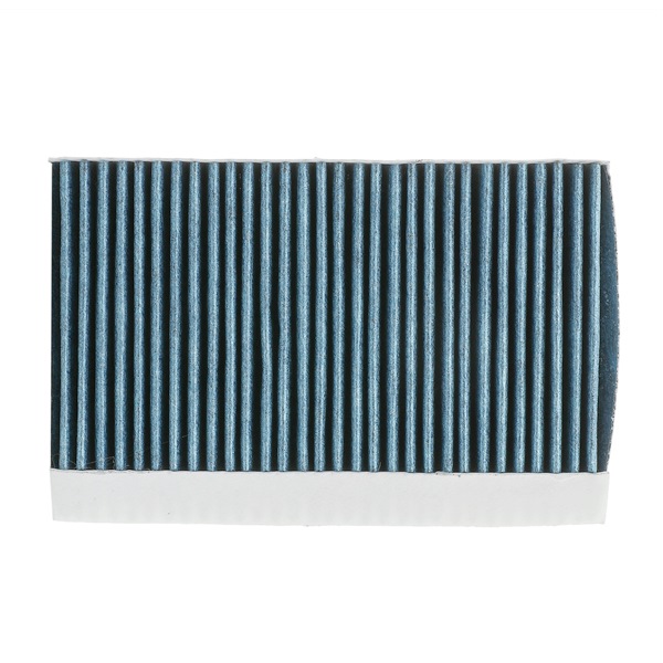 RIDEX PLUS 424I0510P qualité haut de gamme et prix abordables
