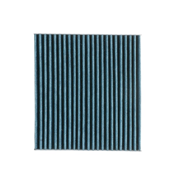 RIDEX PLUS GJ6A-61-B02 Pollenfilter 424I0581P