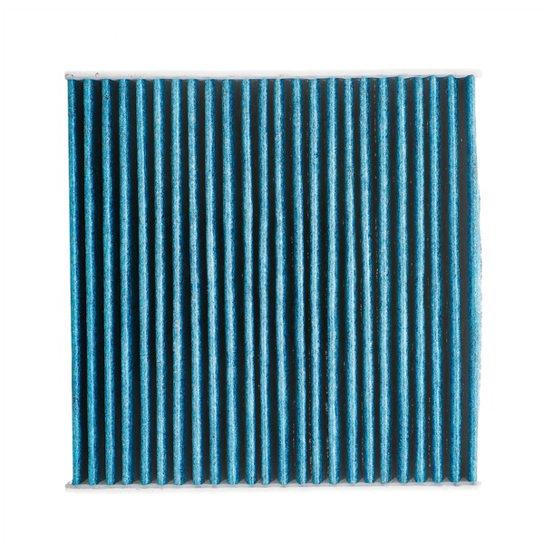 Filtro abitacolo 424I0603P RIDEX PLUS Filtro antipolline costo