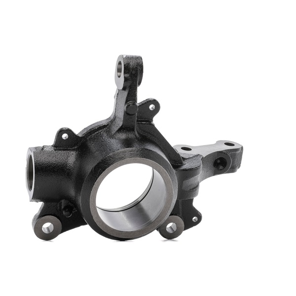 RIDEX 1159S0141 fuseestuk 400103826R