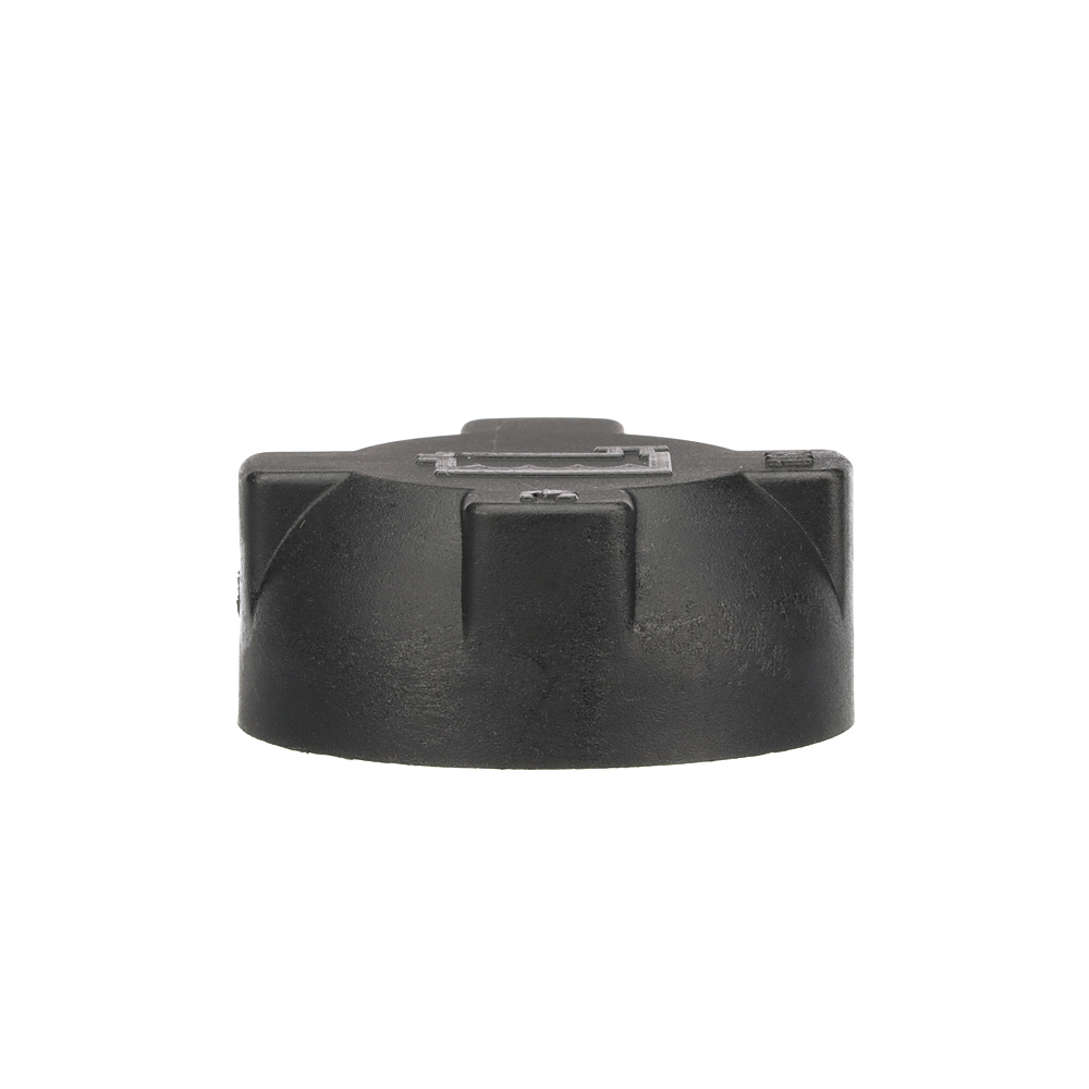 NISSAN JUKE GATES expansion tank cap RC258