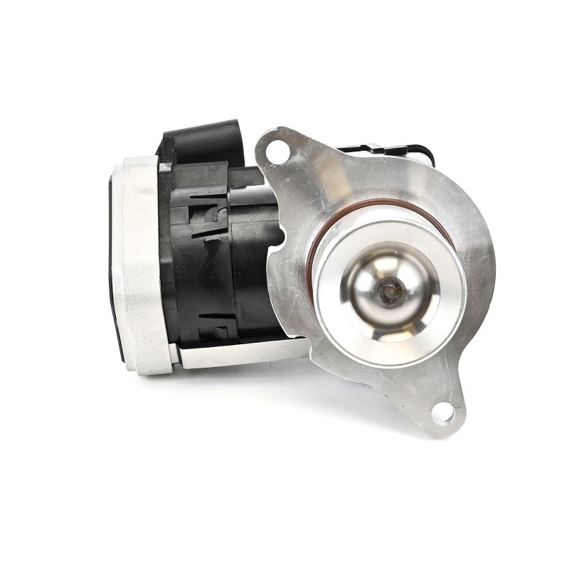 DELPHI EG10621-12B1 egr klep A646 140 0460