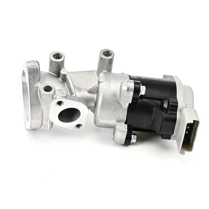 EG10641-12B1 DELPHI LR004534 AGR-Ventil