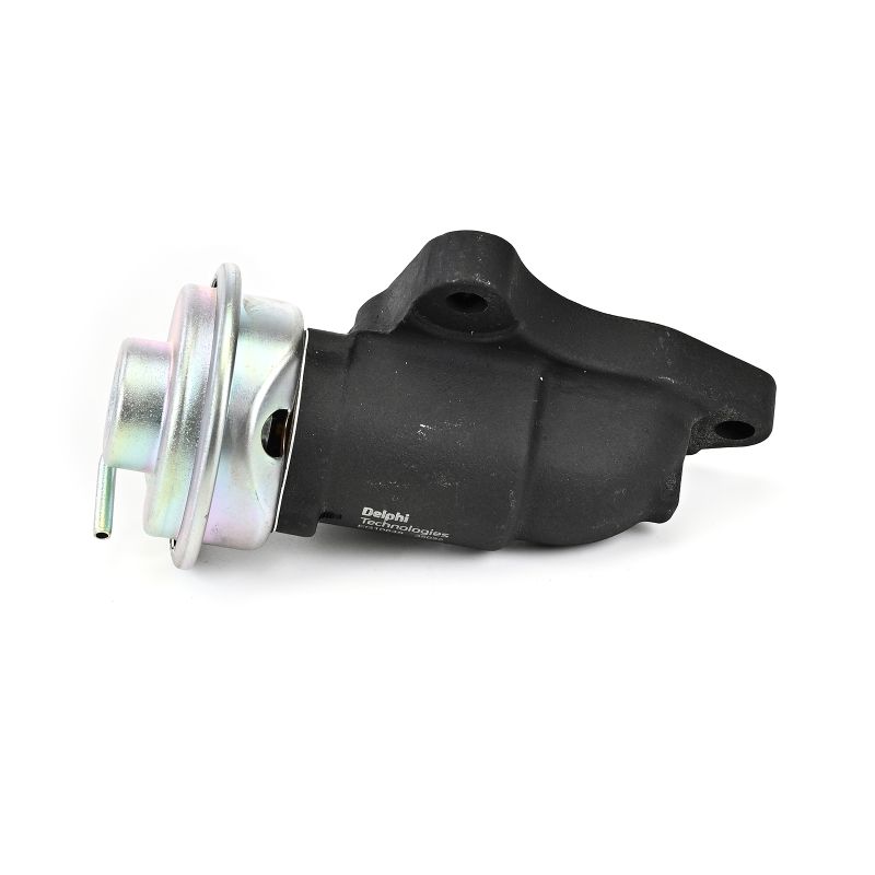 DELPHI EG10648-12B1 egr klep 2562033010