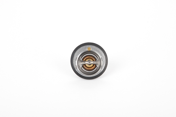 Continental 4M5G-8575-YA Termostat, środek chłodzący 28.0200-4116.2