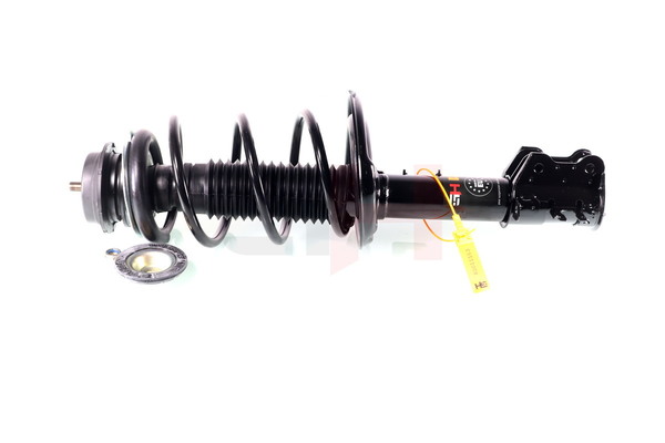 GH-352528C02 GH 1580521 Federbein