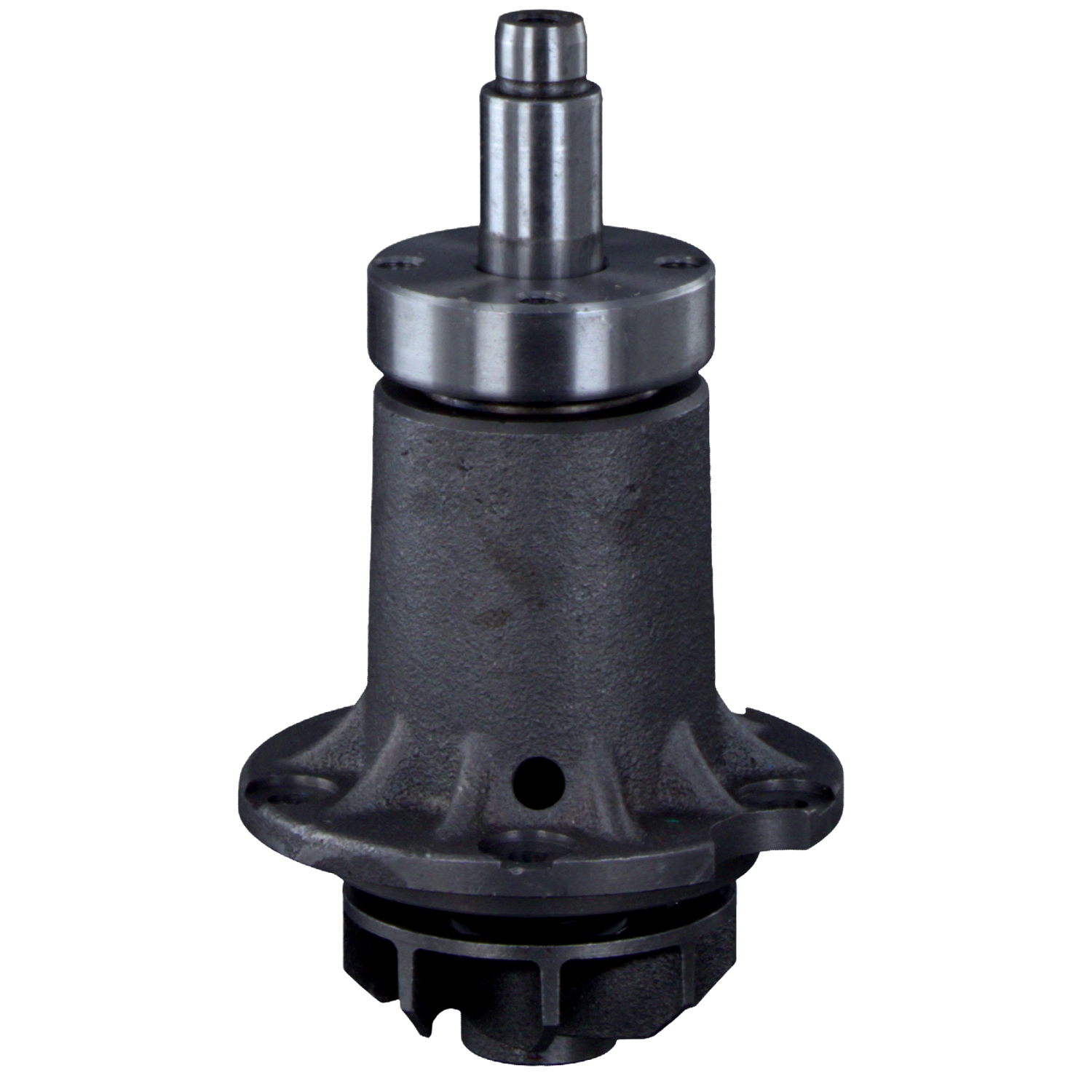 FEBI BILSTEIN 01558 di prima qualità a prezzi equi