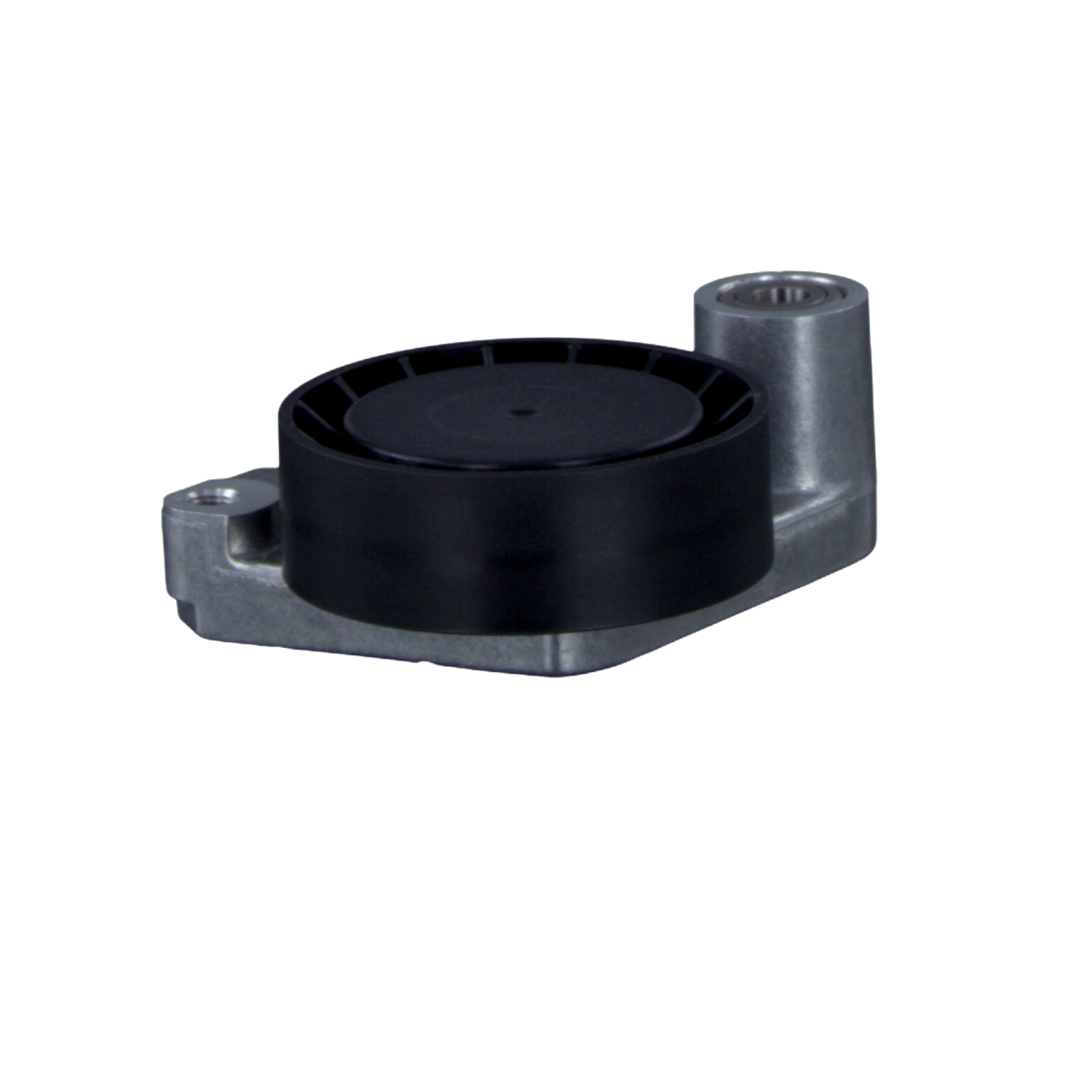 Strammerull FEBI BILSTEIN BMW 5-serie 08690