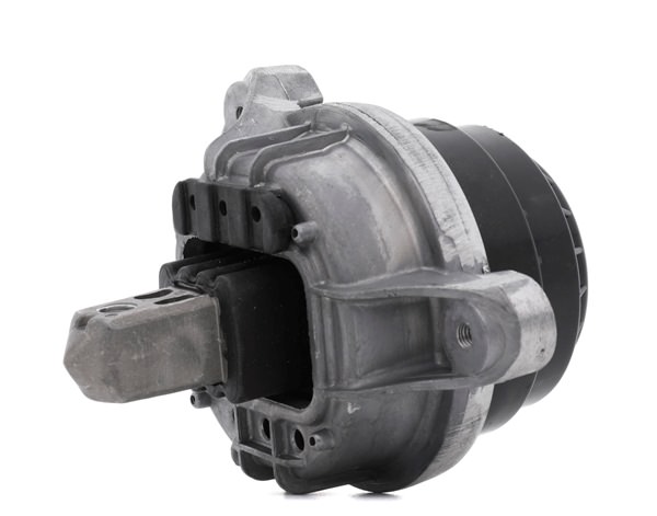 RIDEX 247E1045 Motorlager BMW F10